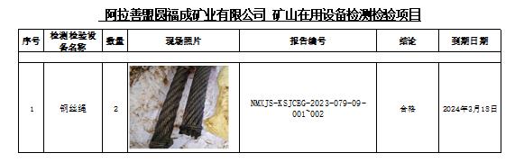 55阿拉善盟圆福成矿业有限公司安全检测2023.9.21公示.jpg