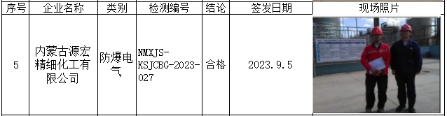 68内蒙古源宏精细化工有限公司安全检测2023.9.8公示.jpg