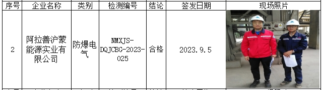 69阿拉善左旗沪蒙能源实业有限公司安全检测2023.9.8公示.jpg