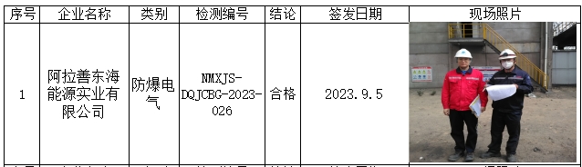 610阿拉善东海能源实业有限公司检测2023.9.8.jpg
