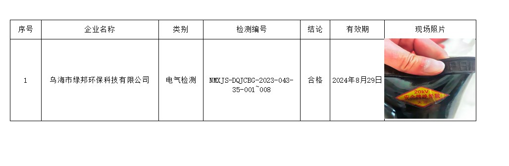 77乌海市绿邦环保科技有限公司安全检测2023.9.6公示.jpg
