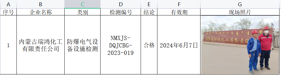 84内蒙古瑞鸿化工有限责任公司安全检测2023.8.25公示.png
