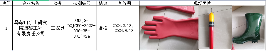 85马鞍山矿山研究院爆破工程有限责任公司安全检测2023.8.25公示.png