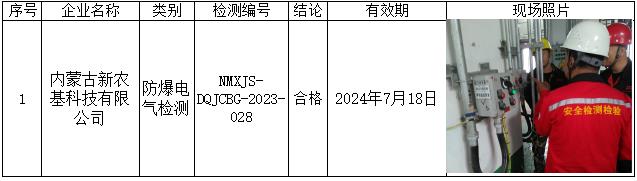 86内蒙古新农基科技有限公司安全检测2023.8.24.jpg