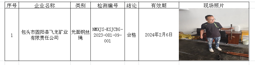 96包头市固阳县飞龙矿业有限责任公司安全检测2023.8.16公示.png