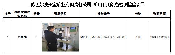 1010陈巴尔虎天宝矿业有限责任公司安全检测2023.8.9公示.jpg