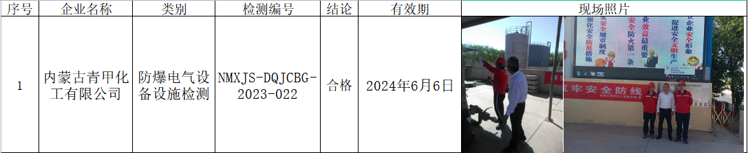 145内蒙古青甲化工有限公司安全检测2023.7.4公示.png