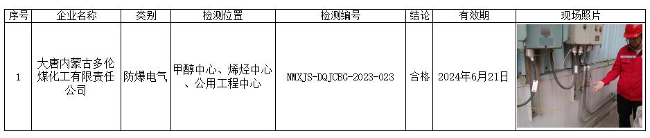 149大唐内蒙古多伦煤化工有限责任公司防爆电气检测检验2023.6.30公示.jpg