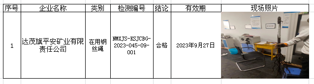 203达茂旗平安矿业有限责任公司安全检测2023.5.5.png