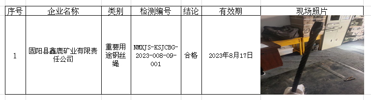 288固阳县鑫鹿矿业有限责任公司安全检测2023.2.23公示.png