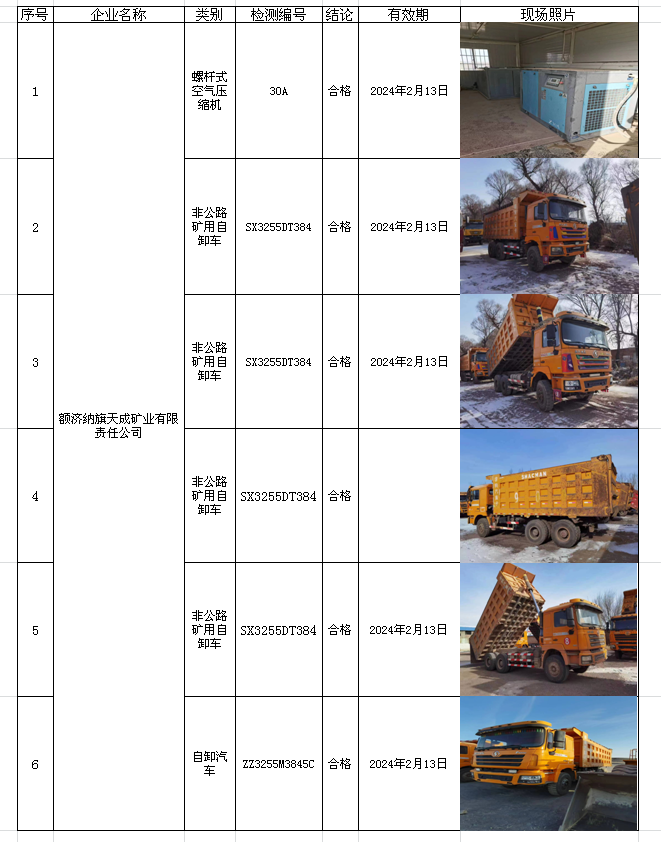 2810额济纳旗天成矿业有限责任公司2023.2.17公示.png