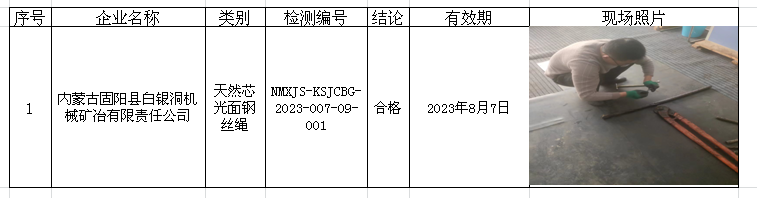 291内蒙古固阳县白银洞机械矿冶有限责任公司安全检测2023.2.17公示.png