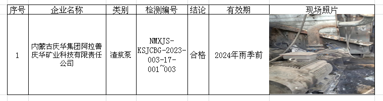 297内蒙古庆华集团阿拉善庆华矿业科技有限责任公司安全检测检验.png