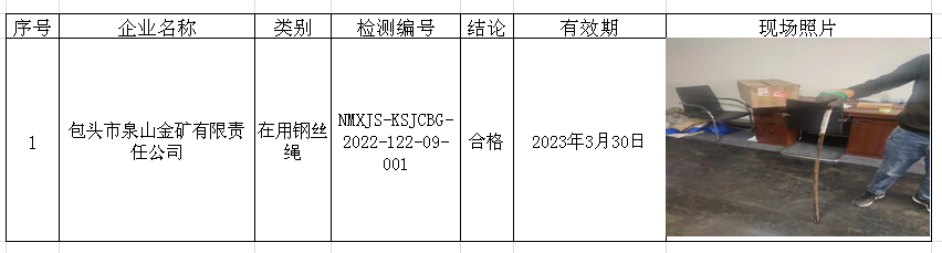 412包头市泉山金矿有限责任公司2022.10.10公示.png