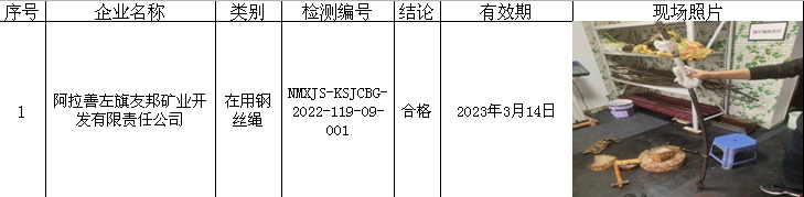 433阿拉善左旗友邦矿业开发有限责任公司2022.9.21公示.png