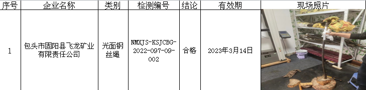 435包头市固阳县飞龙矿业有限责任公司2022.9.21公示.png