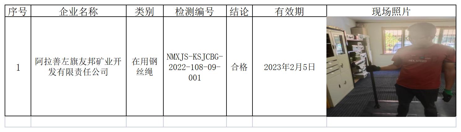 477阿拉善左旗友邦矿业开发有限责任公司安全检测2022.8.12公示.jpg