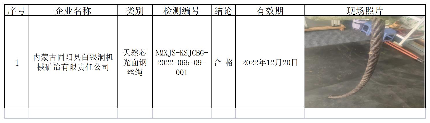 552内蒙古固阳县白银洞机械矿冶有限责任公司.jpg