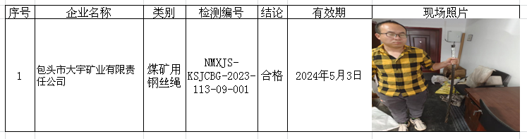 公示.png