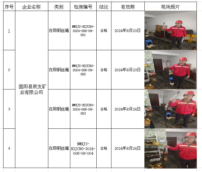 2024.2.26 固阳县辰友矿业有限责任公司.png